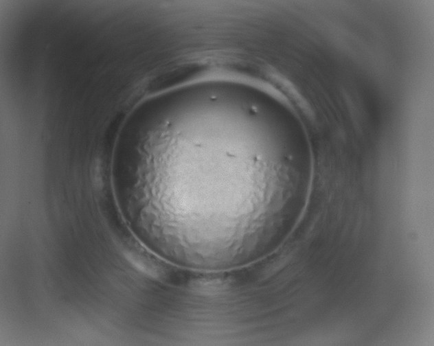 X0000083530161200702091015