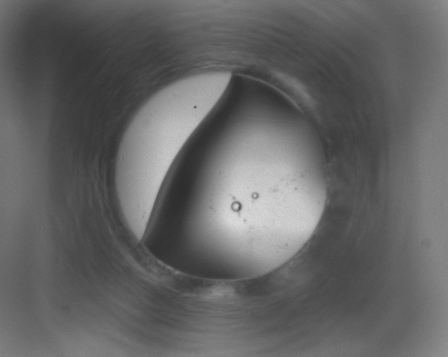 X0000083530162200702091015