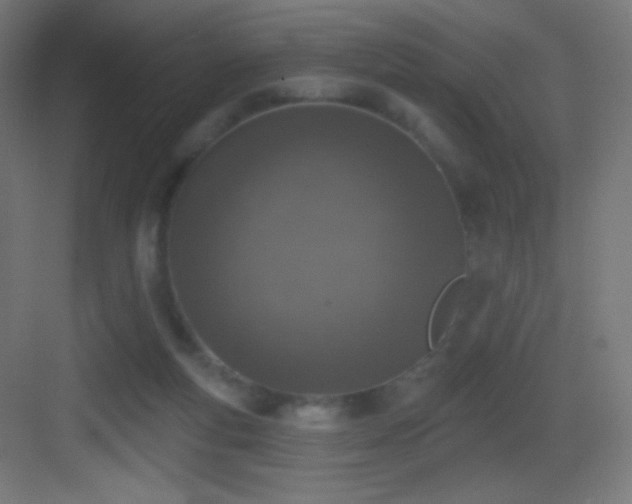 X0000083530163200702091015