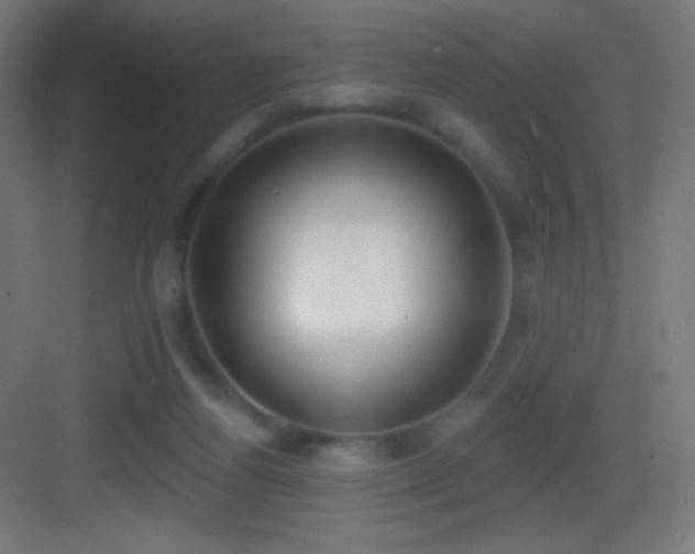 X0000083530164200702091015