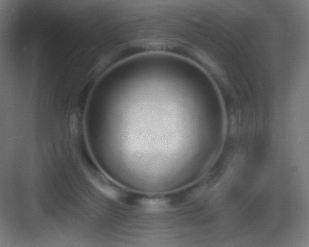 X0000083530165200702091015