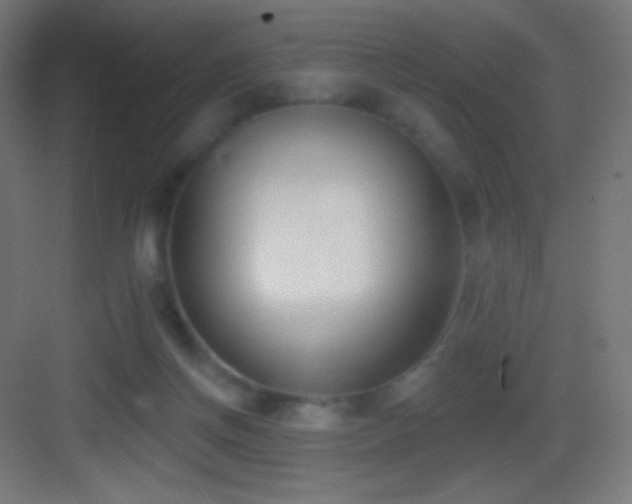 X0000083530166200702091015