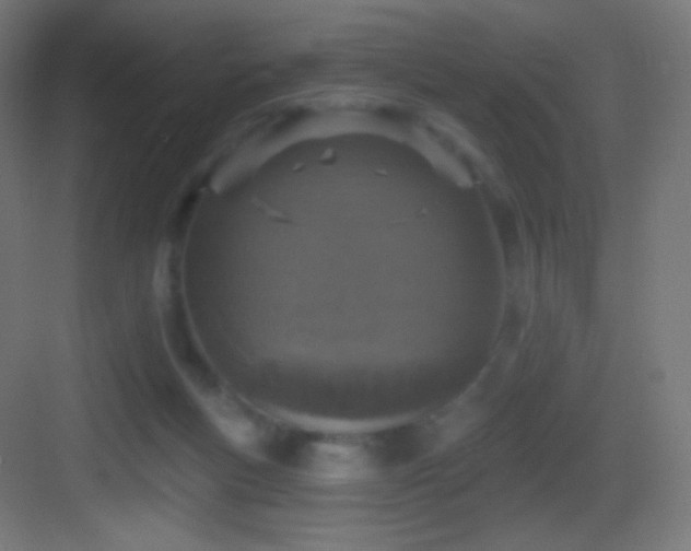 X0000083530167200702091015