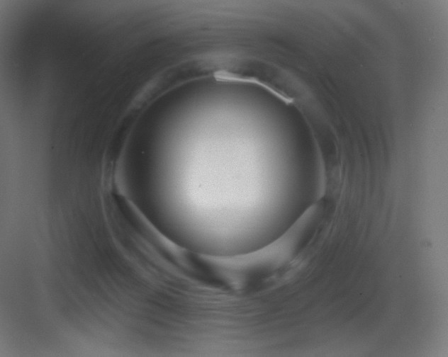 X0000083530168200702091015