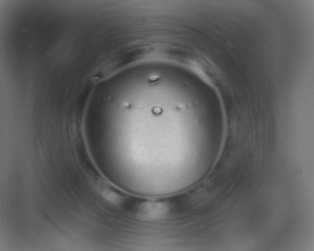 X0000083530169200702091015