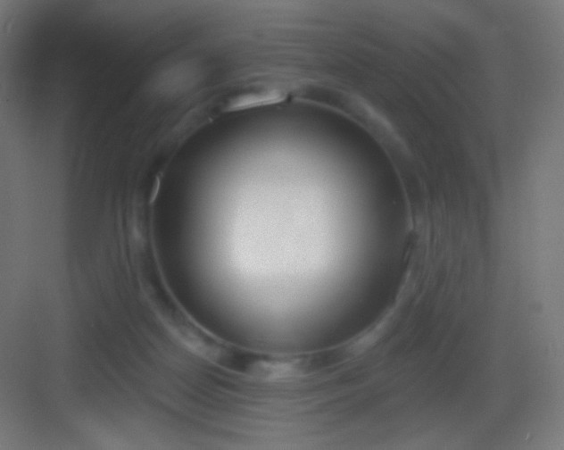 X0000083530170200702091015