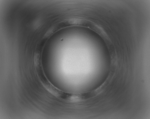 X0000083530171200702091015