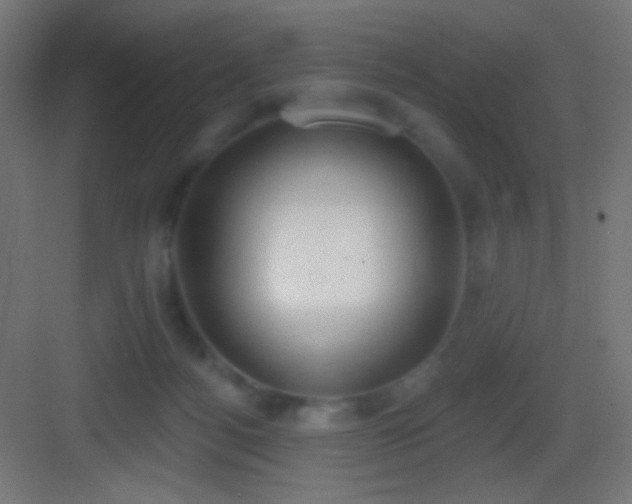 X0000083530172200702091015