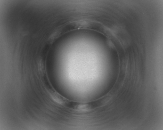 X0000083530173200702091015