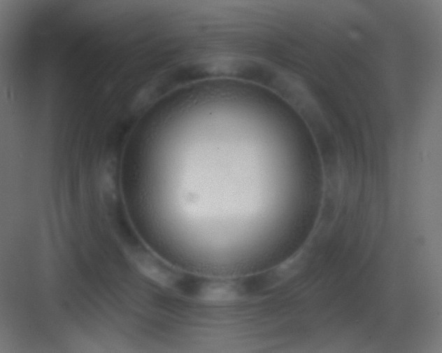 X0000083530175200702091016