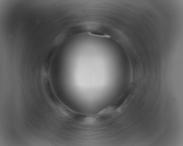 X0000083530176200702091016