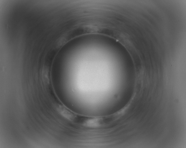 X0000083530178200702091016