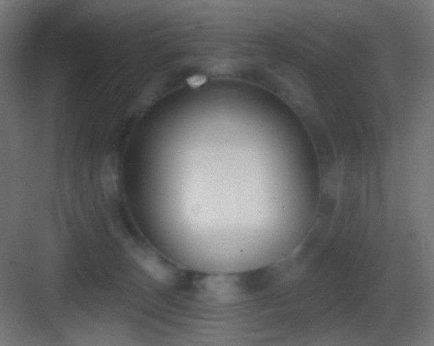 X0000083530179200702091016