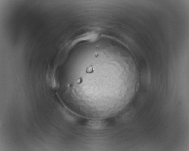 X0000083530181200702091016