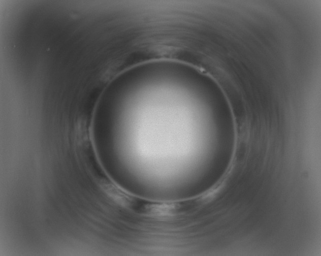 X0000083530182200702091016