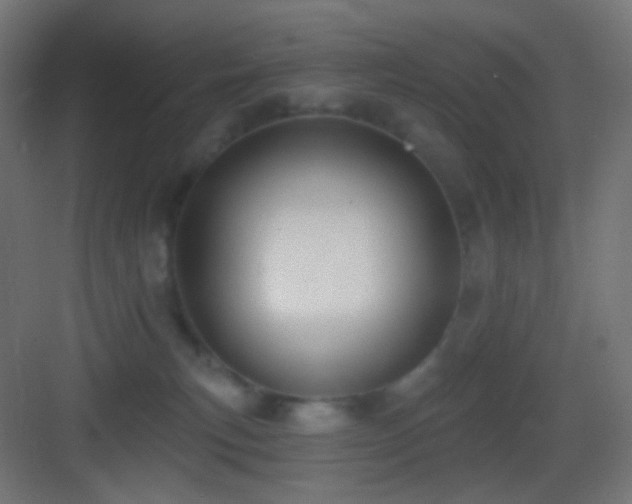 X0000083530183200702091016