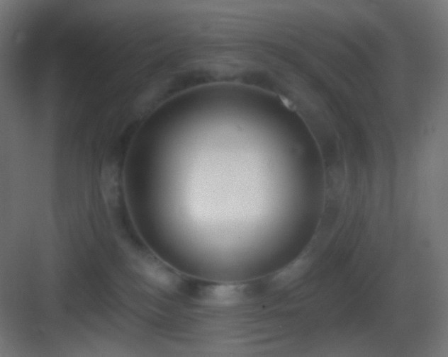 X0000083530184200702091016