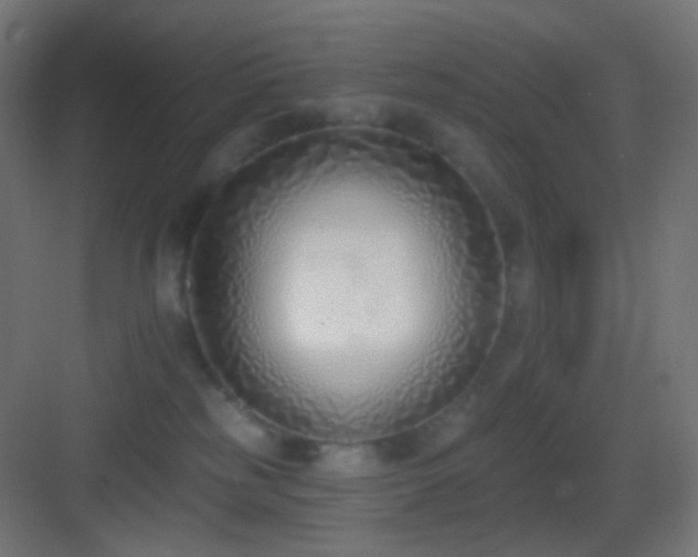 X0000083530185200702091016