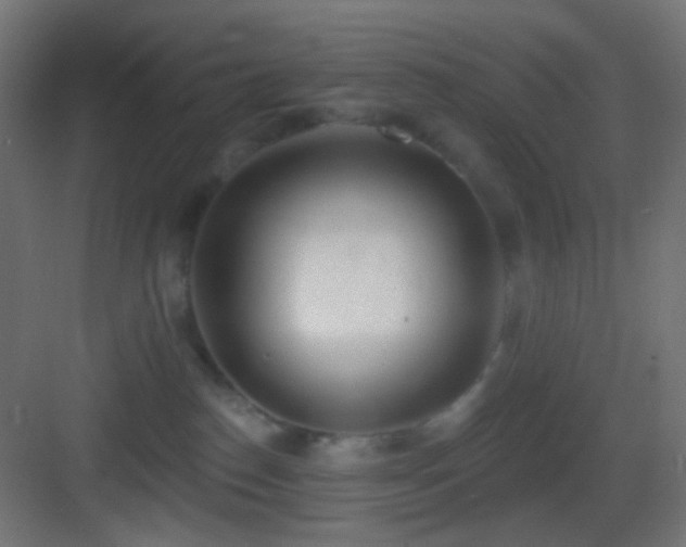 X0000083530186200702091016