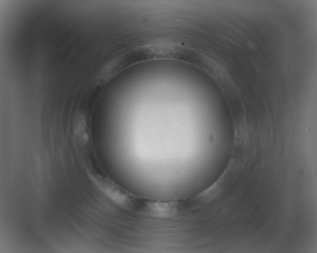 X0000083530187200702091016