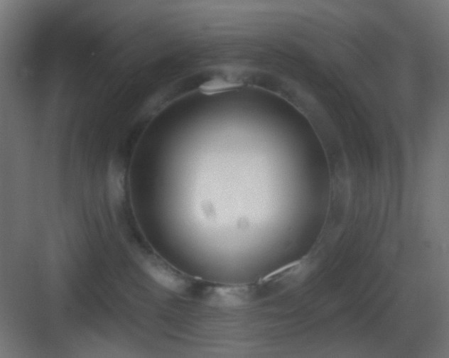 X0000083530188200702091016