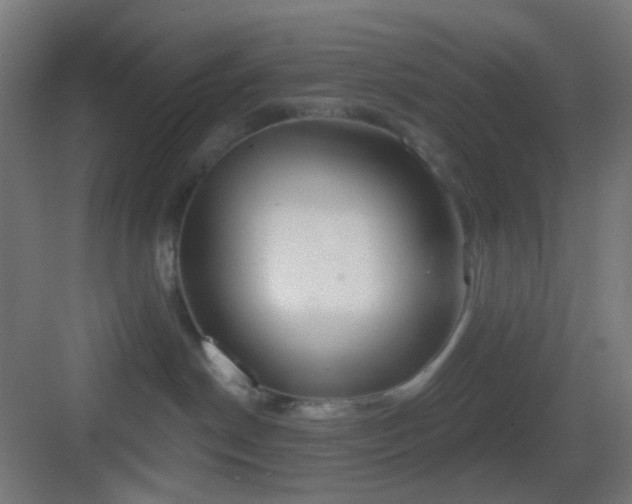 X0000083530190200702091016