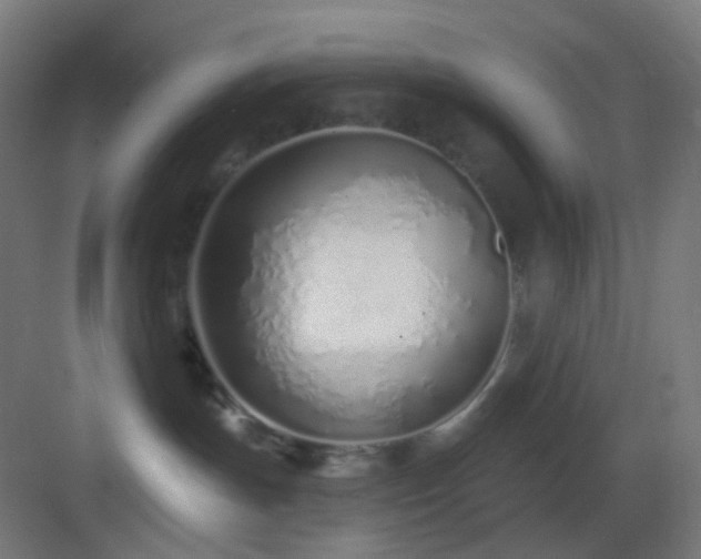 X0000083530191200702091016