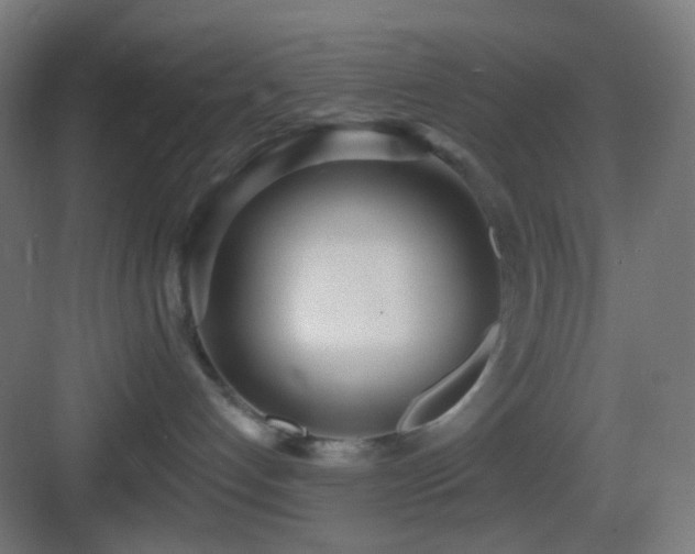 X0000083530192200702091016