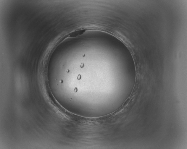 X0000083530193200702091015