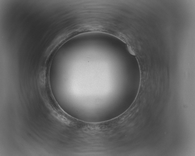 X0000083530194200702091015