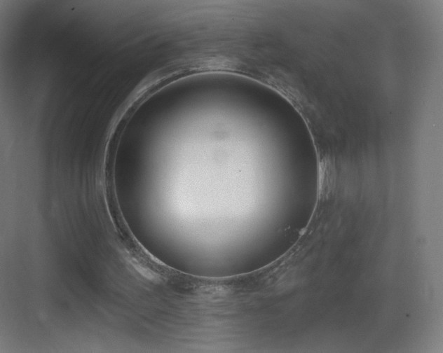 X0000083530195200702091015