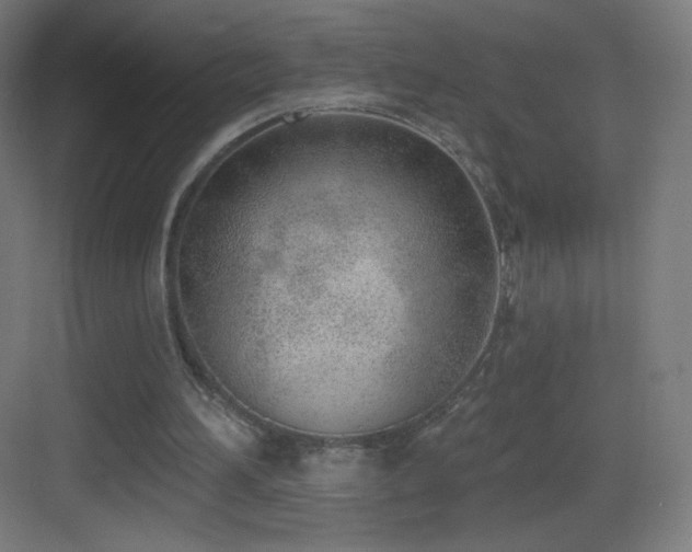 X0000083530196200702091015