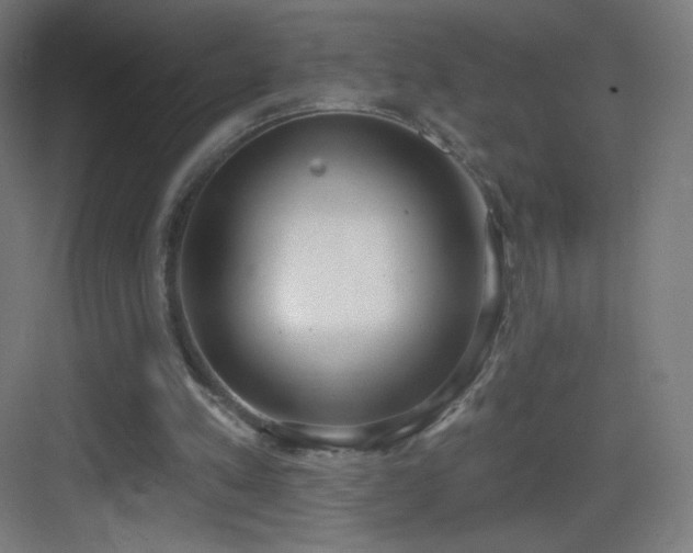 X0000083530197200702091015