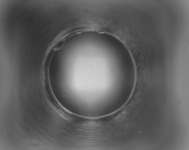 X0000083530198200702091015