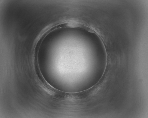 X0000083530199200702091015