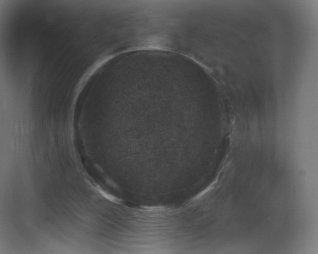 X0000083530200200702091015