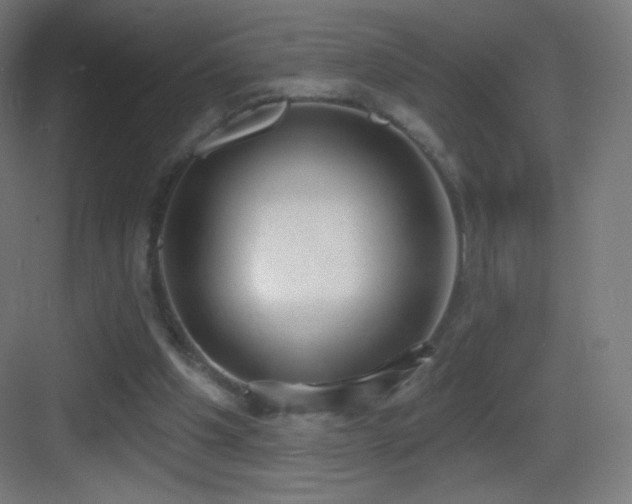 X0000083530201200702091015