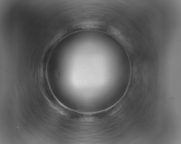 X0000083530202200702091015