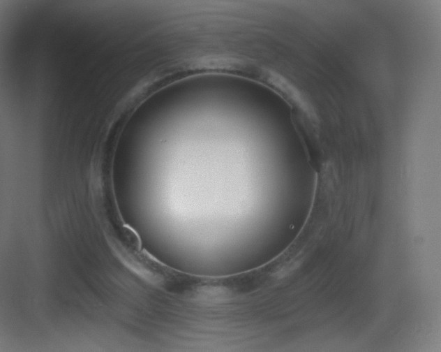 X0000083530203200702091015