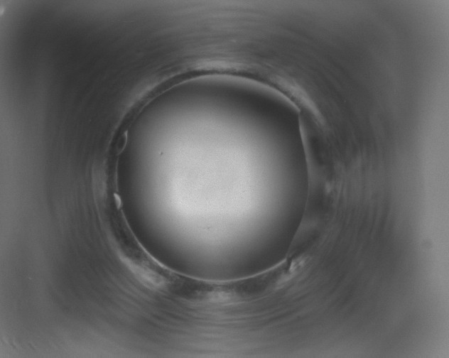 X0000083530204200702091015