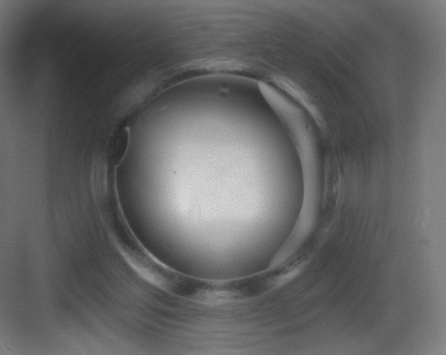 X0000083530205200702091015