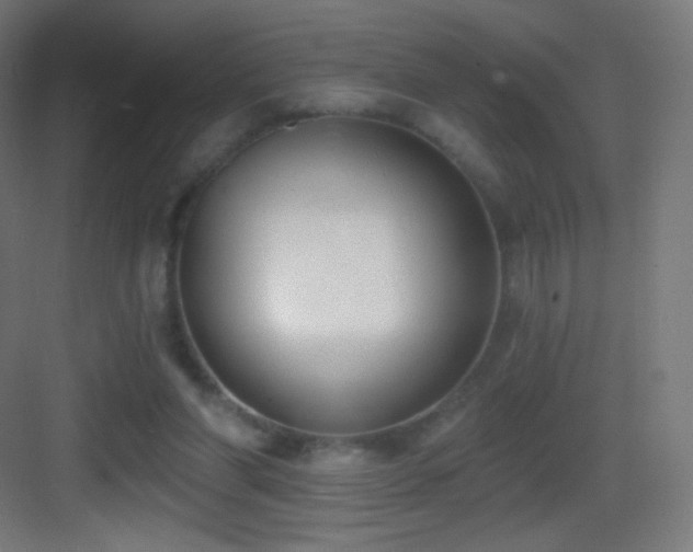 X0000083530206200702091015