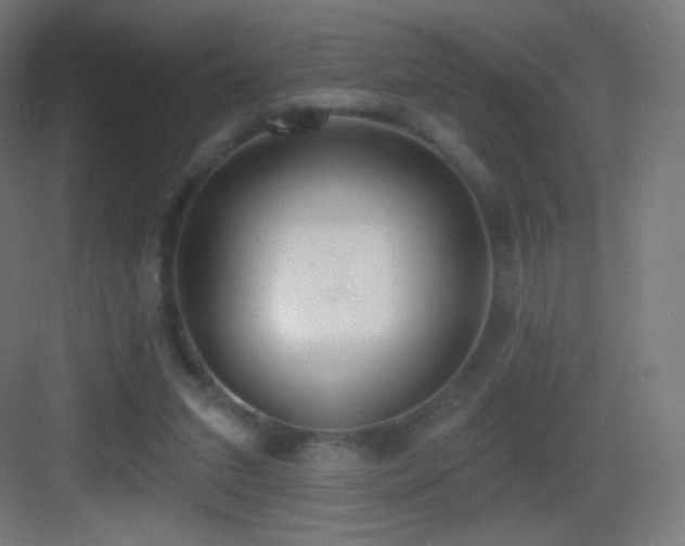 X0000083530207200702091015