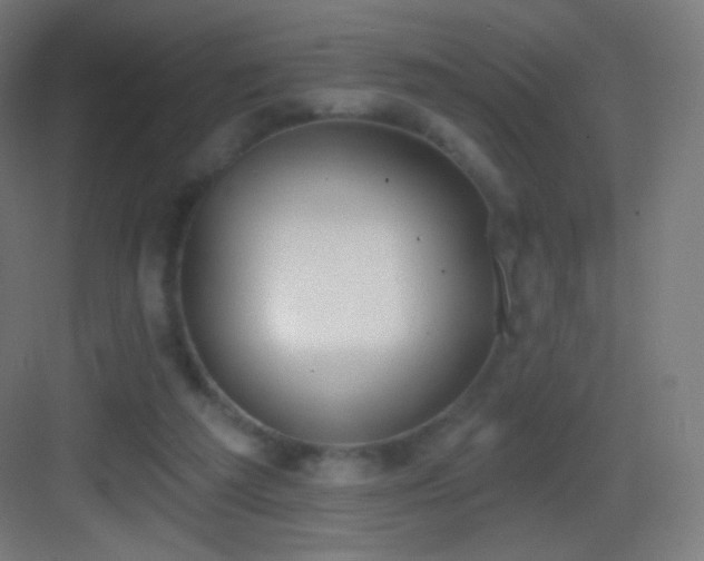 X0000083530209200702091015