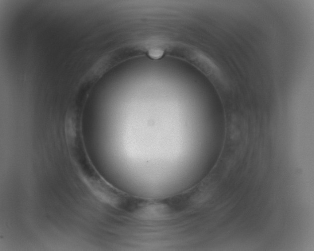 X0000083530210200702091015