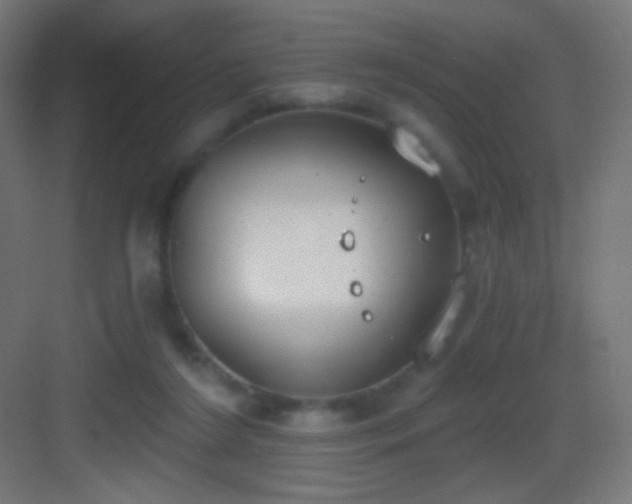 X0000083530212200702091015