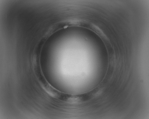 X0000083530213200702091015