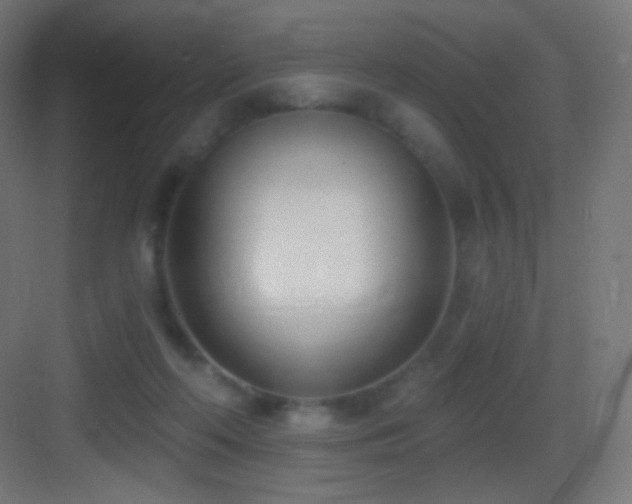 X0000083530214200702091015