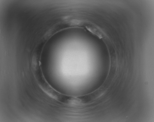 X0000083530215200702091015