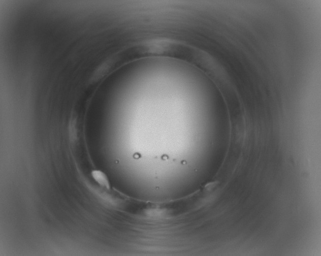 X0000083530216200702091015